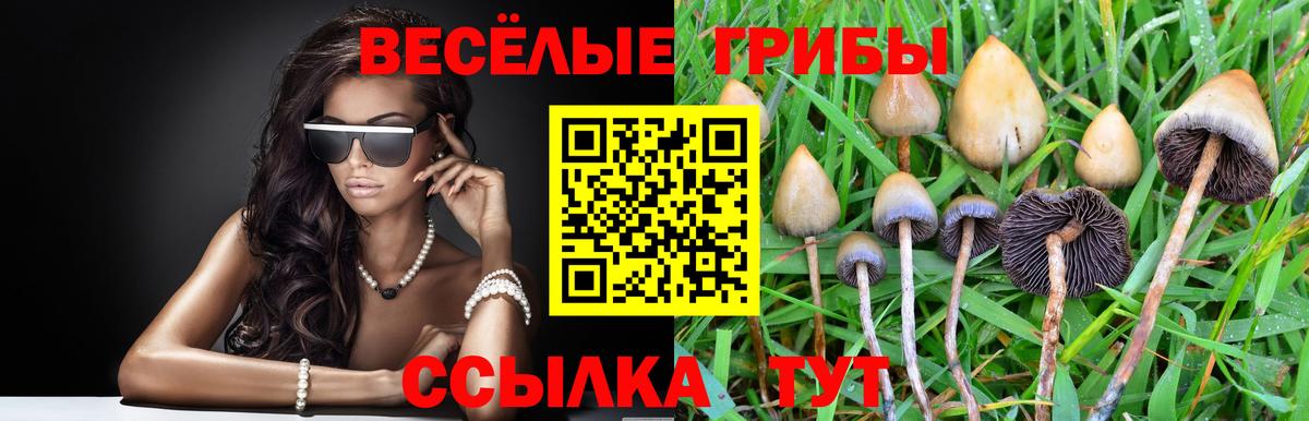 Янаул  Галлюциногенные грибы MAGIC MUSHROOMS  Вход с VPN  Псилоцибиновые грибы GOLDEN TEACHER 
